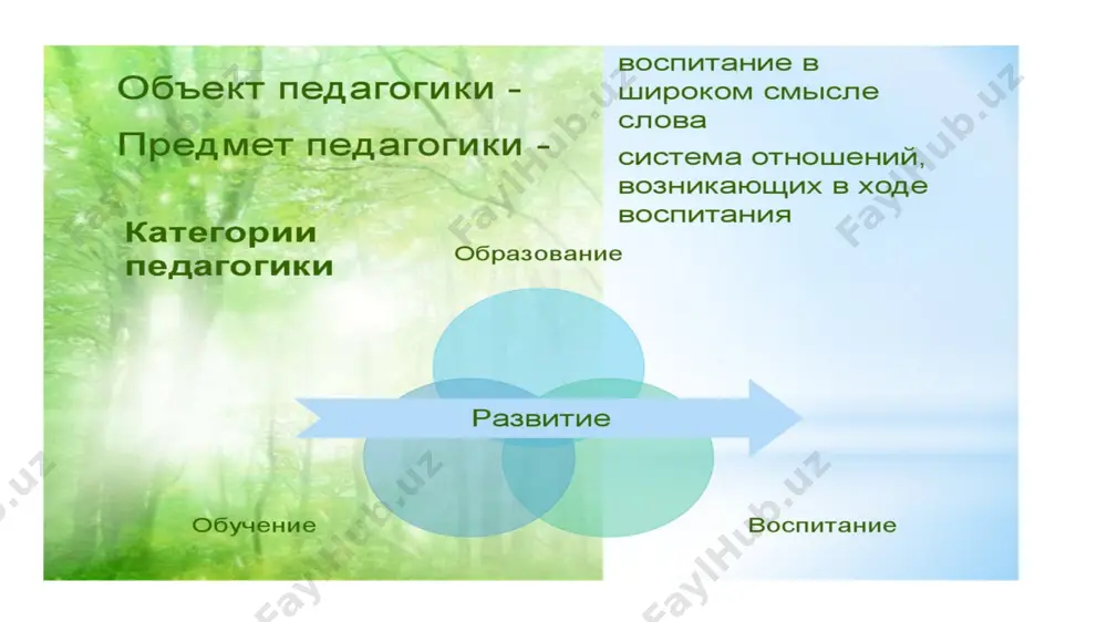 pedagogika - Page 4