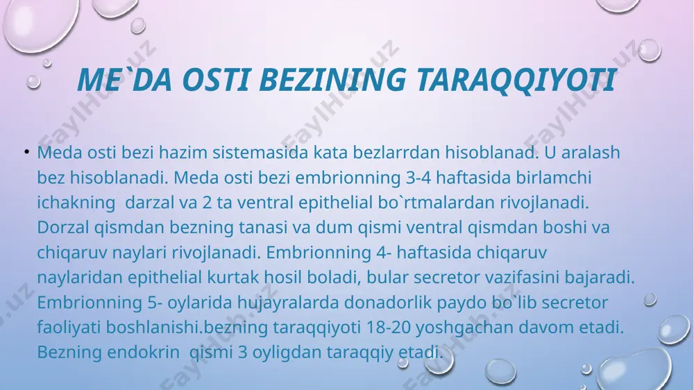 ribosomalar tutgan donador endoplazmatik to`r elementlari joylashgan. ular parallel joylashgan yassi qopchalardan iborat bo`lib pankreatik shiraning fermentlari shu yerda sintezlanadi. 1 fermentlar sintezi uchun zarur bo`lgan oddiy birikmalarning hujayra ichiga kirishi. 2 donador endoplazmatik torda sintez bo`lishi . 3 sekretning goliji kompleksida yetilishi. 4 tayyor secretor mahsulotlarining prozimogen va zimogen holida yig`ilishi. 5 secretor mahsulotlarining hujayradan chiqishi. sekretor sikli ortacha 1,5-2 soat davom etadi. atsinar hujayralarning sekretor faoliyati atsinar hujayralardan ajralgan secretor kiritma nayga tushadi. bazi hollaqrda kiritgma nay hujayralari atsinar bo`shliqqa suqulib kiradi va atsinar hujayralarning opikal yuzalarida yotadi. bunday joylashganda ular sentroatsinoz hujayralar deyiladi. hujayralarning atsinus bo`shlig`iga qaragan erkin yuzasida onda sonda mikrovorsinkalar uchraydi. kiritma naylar bo`lakchalari ichki naylar ga o`tadi. devori 1 qavat kubsimon epiteliy bilan qoplangan . kritma va bo`lakchalar ichki naylari hujayralari pankreatik shira tarkibidagi bikarbonatlar, tuzlar va suv sekretsiyada ishtrok etadi chiqaruv nayi epiteliysida qadahsimon hujayralar hamda pankreozimin va xoletsistokinin gormonlarini ishlab chiqaruvchi endokrin …