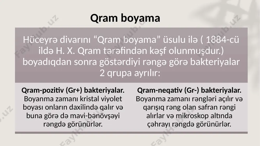 tol qalıqlarından ibarət zəncirdir, ona görə də qliserinteyxoat və ribitteyxoat olmaqla iki cür olur. suda həll olur. patogenlik amillərindəndir. stafilokokk, streptokokk, tetanus, qarayara, qazlı qanqrena və s. qram müsbət bakteriyalardır. hüceyrə divarları 50 nm qalınlıqda olur, əsas hissəsini qlikopeptid, peptidoqlikan, təşkil edir. burada az miqdarda lipid, polisaxarid və zülallara rast gəlinir. hüceyrə divarının 90%-ni çoxqatlı peptidoqlikan (murein, mukopeptid) təşkil edir. peptidoqlikan teyxoat turşusu ilə (yun. teichos-divar) kovalent rabitə ilə birləşmişdir. qlikan molekulları paralel yerləşərək peptidoqlikanı formalaşdırır. qlikanın n-asetilmuramin qalıqlarıda bir-biri ilə 4 aminturşudan ibarət peptid rabitə ilə birləşir və çoxqatlı quruluş formalaşır. (gr+) bakteriyalarda bu qatların sayı 40-a qədərdir və hüceyrə divarının 50%-ni təşkil edir. qram mənfi (gr- ) bakteriyalar bağırsaq çöpləri, dizenteriya, qarın yatalağı, taun çöpləri və s. qram mənfi bakteriyalardır. hüceyrə divarları 10 nm qalınlıqda olur. onlarda peptidoqlikanın peptid rabitələri l- və d aminturşularıdan ibarət tetrapeptid vasitəsilə yaranır. peptitoqlikan teyxoat turşusu ilə birləşmir və 1-2 qat təşkil edir, …
