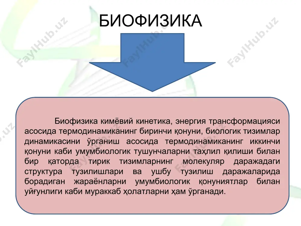 иясининг биофизика институти, м.в.ломоносов номидаги москва давлат университети биофизика кафедраси илмий ходимларининг тадқиқотлари катта аҳамиятга эга бўлди. ўзбекистонда биринчи бор 1963 йилда академик ё.х.турақулов тошкент давлат университетида биокимё ва биофизика кафедрасига асос солди ва ушбу кафедрада биофизик мутахассислар тайёрлана бошланди. биофизика фанининг ривожланиш тарихи 1979 йил эса ушбу кафедрадан академик б.о.тошмуҳамедов раҳбарлигида биофизика ва табиатни муҳофаза қилиш кафедраси ажралиб чиқди. ўзбекистонда биофизика мактабини асосий йўналиши биологик мембраналарда ионлар транспорти, ион каналлари ва биологик фаол моддаларнинг мембраналарга таъсир қилиш механизмларини ўрганишдан иборат. биофизика фанининг ўзбекистонда ривожланишида ўзр фа физиология ва биофизика институти ўз ўрнига эга. ўзр фа физиология ва биофизика институти 1985 йил ўзр фа физиология институти ва ўзр фа биокимё институтининг биофизика бўлимини бирлашиши натижасида ташкил топди. институт ўзр фа тиббиёт, кимё, биологик фанлар комплекси таркибига киради ва ўзининг фаолиятини фанлар академиясининг илмий-услубий раҳбарлиги остида олиб боради. биофизика фанининг ривожланиш тарихи ўзр фа биокимё институти биофизика бўлимига б.о.тошмуҳамедов раҳбарлик қилган …