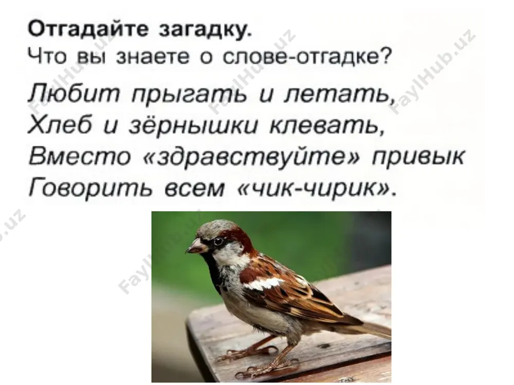 урок дружбы - Page 2