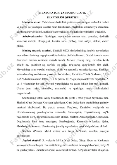 shaftolini quritish — DOCX