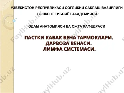 pastki kavak vena tarmoklari — PPT