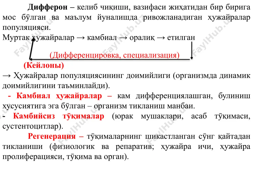 ияси ҳужайранинг барча қисмлари оқсилли ва оқсил бӯлмаган моддалар ҳосил бӯлиш жараёнида иштироу этади. ядро (днк, транскрипция а-рнк, субъединицы рибосом) → биосинтез в эндоплазматик тӯр → комплекс гольджи, лизосома, цитолемма, цитоскелет. i. безларнинг морфологик классификацияси 1. секретор ёки охирги бӯлим тузилишига кӯра 2. секретор қисмининг тармоқланганлигига кӯра чиқарув найларининг тузилишига кӯра секретор бӯлими + чиқарув найи оддий – чиқарув найи оддий найсимон тузилишга эга мураккаб – чиқарув найи мураккаб (тармоқланган) экзокрин безлар а) «оддий» – чиқарув найи тармоқланмаган. б) «тармоқланмаган» – секретор қисми тармоқланмаган. в) «найсимон» – секретор қисмининг шаклига кӯра. г) «альвеоляр» – секретор қисмининг шаклига кӯра. д) «мураккаб» – чиқарув найи тармоқланган. е) «тармоқланган» – секретор қисми тармоқланган. е) «альвеоляр-найсимон» – секретор қисми мемкин алвеола шаклида, ва найсимон, ва оралиқ шаклда. ii. безларнинг маҳсулотини чиқариши бӯйича классификацияси: - мерокрин - ҳужайранинг бутунлиги сақланади (почти все железы) - апокрин (микро и макро) апикал қисми бироз емирилади (сут бези) - …