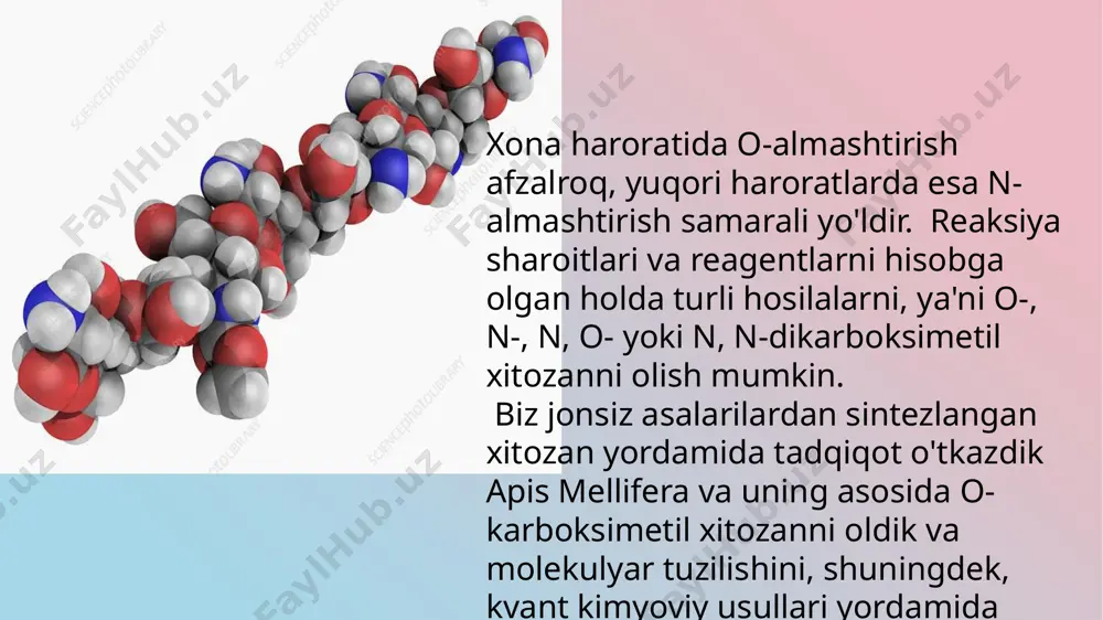 karboksimetil xitosan apis mellifera molekular modeli va atomning zaryadlanishi - Page 4