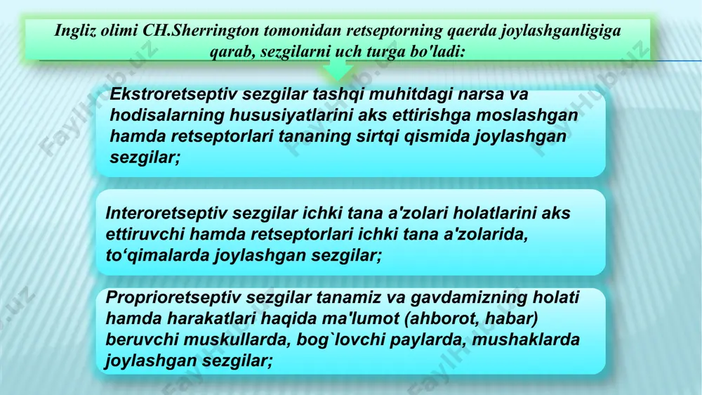 sezgi haqida tushuncha - Page 5
