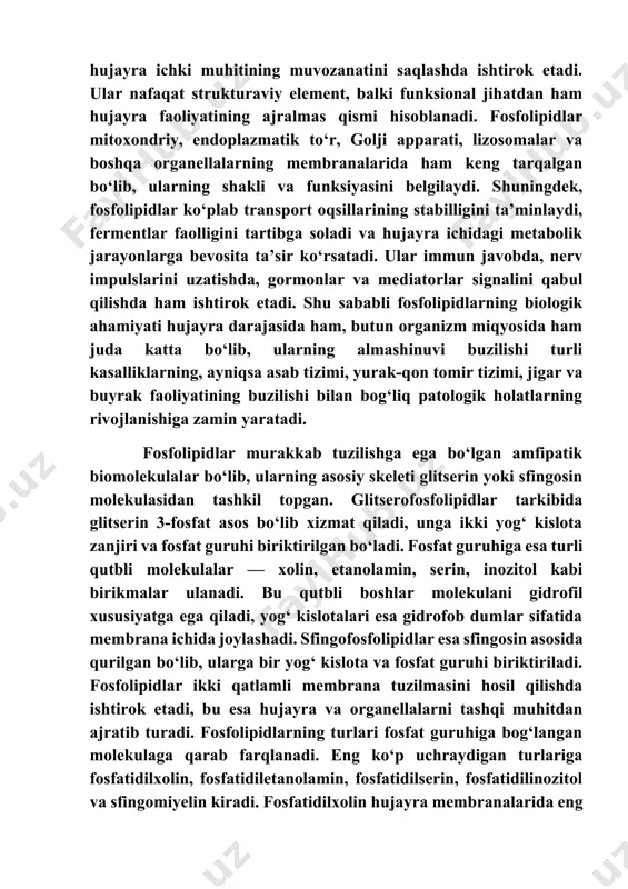 jayra ichki membranasida joylashadi va hujayra signalizatsiyasida, ayniqsa apoptotik jarayonlarda ishtirok etadi. fosfatidilinozitol esa hujayra signal uzatishida ikkinchi xabarchi sifatida muhim ahamiyatga ega. sfingomiyelin esa asab to‘qimalarida ko‘p uchraydi va nerv impulslarini izolyatsiyalashda ishtirok etadi. bundan tashqari, plazmalogenlar deb ataluvchi fosfolipidlar yurak to‘qimalarida ko‘p uchraydi va antioksidant xususiyatlarga ega. fosfolipidlarning kimyoviy tuzilmasi, zaryadi va molekulyar shakli ularning biologik funksiyalarini belgilaydi. ular membrana suyuqligi, oqsillarni joylashtirish, hujayra bo‘linishi, modda transporti va signal uzatish jarayonlarida ajralmas rol o‘ynaydi. shu sababli fosfolipidlarning tuzilishi va turlari organizmda murakkab va muhim biologik jarayonlarni boshqarishda beqiyos ahamiyatga ega. fosfolipidlar almashinuvi organizmda murakkab va ko‘p bosqichli biokimyoviy jarayon bo‘lib, u hujayra membranalarining yangilanishi, hujayra ichki muvozanatini saqlash, signal uzatish va energiya almashinuvini ta’minlashda muhim rol o‘ynaydi. bu jarayon asosan sintez, modifikatsiya, transport, parchalanish va qayta ishlash bosqichlaridan iborat. fosfolipidlar sintezi endoplazmatik to‘rda boshlanadi, bu yerda glitserol 3-fosfat molekulasi asos sifatida ishlatiladi. c1 va c2 uglerod atomlariga yog‘ …