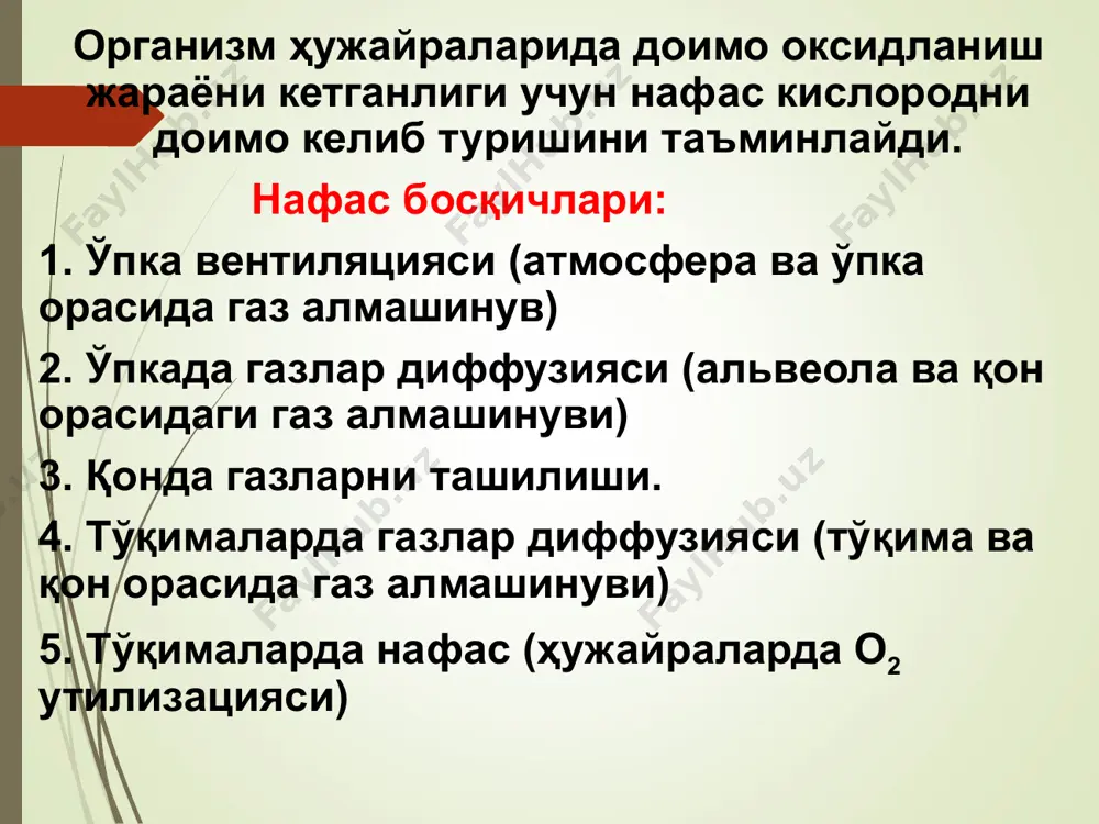 ди. со2 диффузиянинг паст градиенти унинг қонда юқори эрувчанлиги (20 марта) билан тушунтирилади. қонга тушган кислород нb билан енгил кимёвий боғ билан нbо2 ҳосил қилади. эритроцитларнинг юзаси катта бўлганлиги учун о2 диффузияси тез амалга ошади. бир молекула нb тўрт молекула о2 бириктиради (1,34мл о2). 100 мл қонда 20,1 мл о2 (20%) бўлади. hbo2 ҳосил бўлиши кислородни ро2 тўғри пропорционал равишда боғлиқ, бу hbo2 диссоциацияси эгри чизиғида яққол кўринади. карбонат ангидридни қонда ташилиши hb билан бирикма ҳолида - 5%; карбонатлар ҳолида - 50%; эриган ҳолатда - 2,5%; қонда 85% дан ортиқ карбонат ангидрид эритроцитларда к+, плазмада na+ билан кимёвий боғланган бўлади. қондаги карбонат ангидрид бирикмаси миқдори унинг парциал босимига боғлиқ бўлади (рсо2 ) ва диссоциация эгри чизиғида ҳам кўринади. тўқимадан со2 эритроцитларга ўтади ва карбоангидраза ферменти таъсирида н2со3 га айланади. карбоангидраза н2co3 ҳосил бўлишини 10 000 тезлаштиради. со2 эритроцитларда hb билан боғланиб, карбогемоглобинни (hbco2) ҳосил килади. ўпкада со2 оддий диффузия йўли …