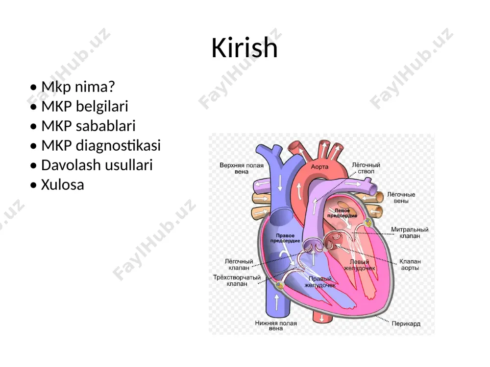 dan chap qorinchaga yo’naltirishda muhim rol o’ynaydi. mvpda klapan varaqlarida ortiqcha to’qimalar yoki g’ayrioddiy cho’zilish bo’lishi mumkin, bu ularning chap atriumga orqaga burilishiga olib keladi. bu valfning to’g’ri yopilishiga to’sqinlik qilishi mumkin, bu esa regurgitatsiyaga olib keladi. xavf omillari mitral qopqoq prolapsasi har qanday yoshdagi odamlarga ta’sir qilishi mumkin, ammo jiddiyroq alomatlar ko’pincha 50 yoshdan oshgan erkaklarda qayd etiladi. genetik moyillik rol o’ynaydi, chunki mvp oilalarda ishlashi mumkin. shuningdek, u turli xil sharoitlar bilan bog’liq, jumladan: ebshteyn anomaliyasi elers-danlos sindromi graves kasalligi marfan sindromi mushak distrofiyasi skolioz murakkabliklar mitral qopqoq prolapsasidan kelib chiqadigan asosiy asoratlarga quyidagilar kiradi: mitral qopqoq etishmovchiligi: mitral qopqoqning to’liq yopilmasligi qonning orqaga oqib ketishiga olib kelishi mumkin, bu esa yurak faoliyatini murakkablashtiradi. aritmiya: yurak ritmining buzilishi rivojlanishi mumkin, ayniqsa regurgitatsiya chap atriumning kengayishiga olib keladigan bo’lsa. mkp diagnostikasi • **ehokardiografiya (eko)** – asosiy tashxis usuli • **elektrokardiografiya (ekg)** – yurak ritmini tekshirish • **holter monitoring** – …