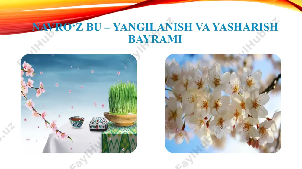 ovxon to‘rani tayyorlashadi. navro‘z milliy taomlaridan sumalak tarixi navro‘zning tansiq taomi bo‘lgan sumalakni xalqimiz qadim zamonlardan buyon tayyorlab kelishgan. buyuk tilshunos olim mahmud qoshg‘ariy o‘zininig “devonu lug‘otit turk” (“turkiy so‘zlar devoni”) kitobida yozishicha: “suma - ivitilgan bug‘doy nomi. uni quritib tuyiladi. so‘ng undan ugra oshi va non qilinadi. sharbat uchun qilingan, undirilgan arpa uchun ham bu so‘z qo‘llaniladi”. shunga ko‘ra “sumalak” - ivitilgan bug‘doy yoki arpa ma’nosini anglatuvchi qadimgi turkiy kalom “suma”dan kelib chiqqan deyish mumkin. milliy taom - sumalak sumalak shifobaxsh taom bo‘lib, unda inson a’zolarida tez qonga va limfa suyuqliklariga so‘riladigan monoxorid bor. uning oqsili ham juda nozik bo‘lib, azoyi badanimizdagi milliardcha hujayralar uchun eng yaxshi ozuqadir. navro‘z bayramida tayyorlanadigan sumalak faqat tansiq taom bo‘lib qolmay, unda insonning barcha yaxshi orzu-umidlari, niyatlari mujassamlashgandir. navro‘zning “shohona taomi” - sumalak tayyorlash, sumalakxo‘rlikka bag‘ishlangan “sumalak sayli”ga marhabo! halim taomi bu… halim (halisa) bug‘doy va mol go‘shtidan tayyorlanadigan qadimiy milliy taomlarimizdan biri. …