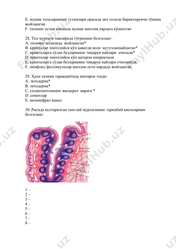 тил препаратлари ва корма ўтли хужайралари - Page 5