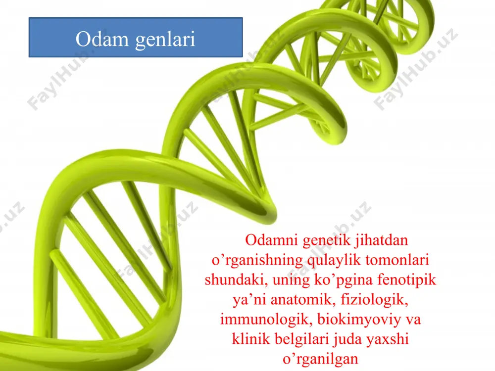odam genetikasi - Page 4