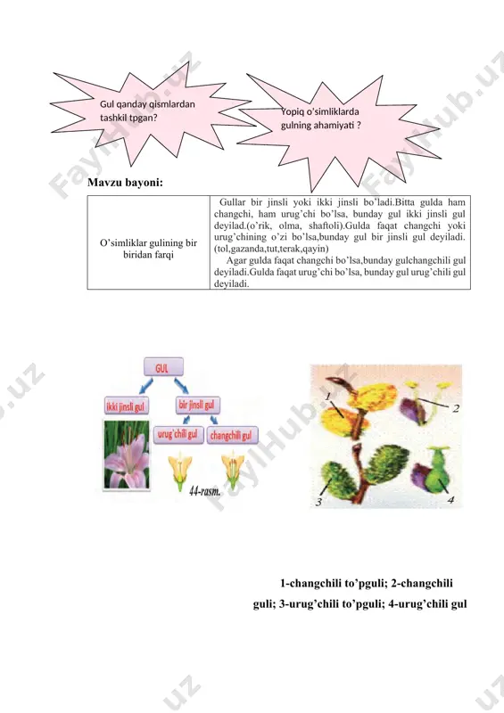 ,isfarak, binafsha, loviya,beda) yangi mavzuni mustahkamlash: 1. berilgan o’simliklarning qaysilari qiyshiq gul? 1.olma 2.o’rik 3.parpi 4.gilos 5. kiyiko’t 6.rayhon 7.lola a) 2,3,6 b) 3,5,6 c)1,5,7 d) 5,6,7 2. 2.berilgan o’simliklarni nomiga mos joylang? . o’rik behi na’matak qovoq suvyig’ar parpi to’g’ri gul qiyshiq gul uyga vazifa: mavzuni o’qib kelish va xonadonimizdagi o’sayotgan o’simliklarni gul xilini aniqlab yozish . bir uyli o'simlik makka-jo'xori qovoq image4.png image5.png image1.png image2.jpeg image3.png