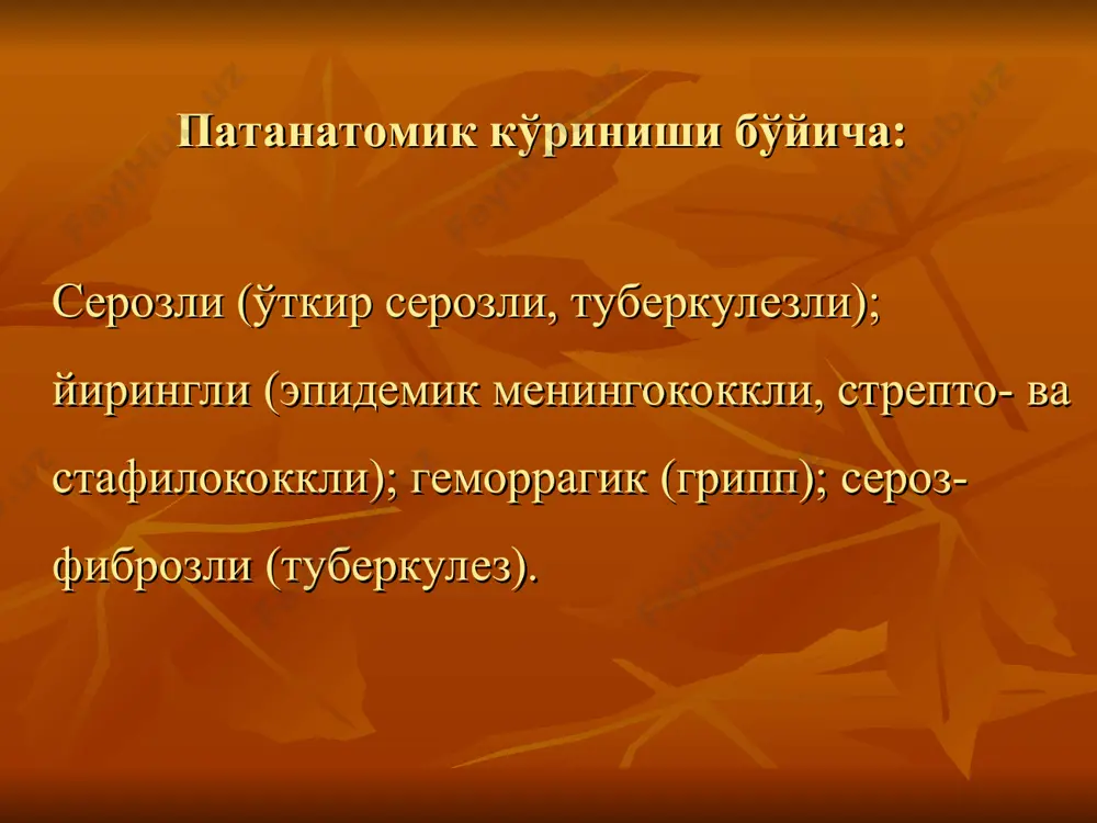 менингит - Page 4