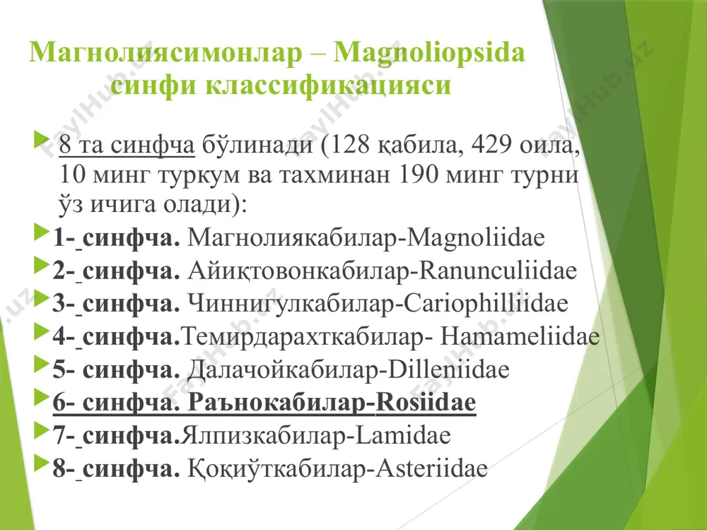 иканли бута. шоҳлари қўнғир, дастлаб тукли, кейин туксиз бўлади, салгина ялтироқ. барглари думалоқ, кенг эллипссимон ёки кенг чўзиқ, асоси ва юқориси думалоқ, қирғоғи тўмтоқ ёки ўткир тишчали, барглари тукли, усти ялтироқ. гуллари икки жинсли, соябонсимон кўпгулли тўпгул. косачабарг ва тожбарглари 5 та. чангчиси кўп, уруғчиси 5 та. меваси этли, думалоқ. 3 - оилача. олмалар-pomoideae оилача вакиллари оддий баргли, барглари навбат билан ўрнашган дарахт ва буталар. косачабарг, тожбарглари 5 та. чангчилари кўп, меваси сохта мева, олма ҳосил бўлади. оила. раънодошлар- rosaceae туркум. олма- malus mill. тур. олма –malus domestica шох – шаббаси юмалоқ тарвақайлаб ўсадиган дарахт. барглари тухусимон. гуллари оддий, соябон тўпгулга йиғилган. косачабарг, тожбарглари 5 та. чангчилари кўп, меваси сохта мева, олма ҳосил бўлади. меваси терининг куйган ва совуқ урган ерига ҳамда қийин битадиган яраларга олма кесиб ёки қириб боғланади. у, овқат ҳазм бўлишини яхшилайди. меваси камқонликда, юрак-қон томирлари системаси, жигар, буйрак, меъда-ичак йўли касалликларини даволашда ҳамда организмни умумий қувватлантирувчи …