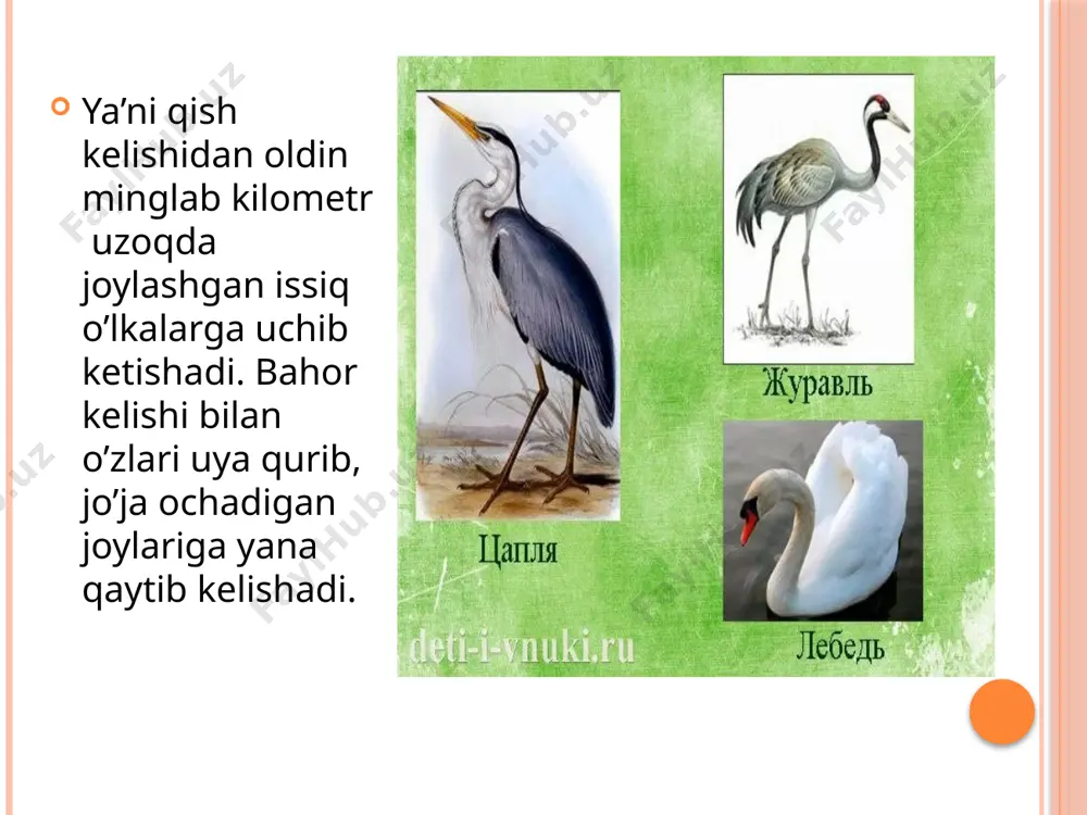 uchib ketuvchi qushlar - Page 4