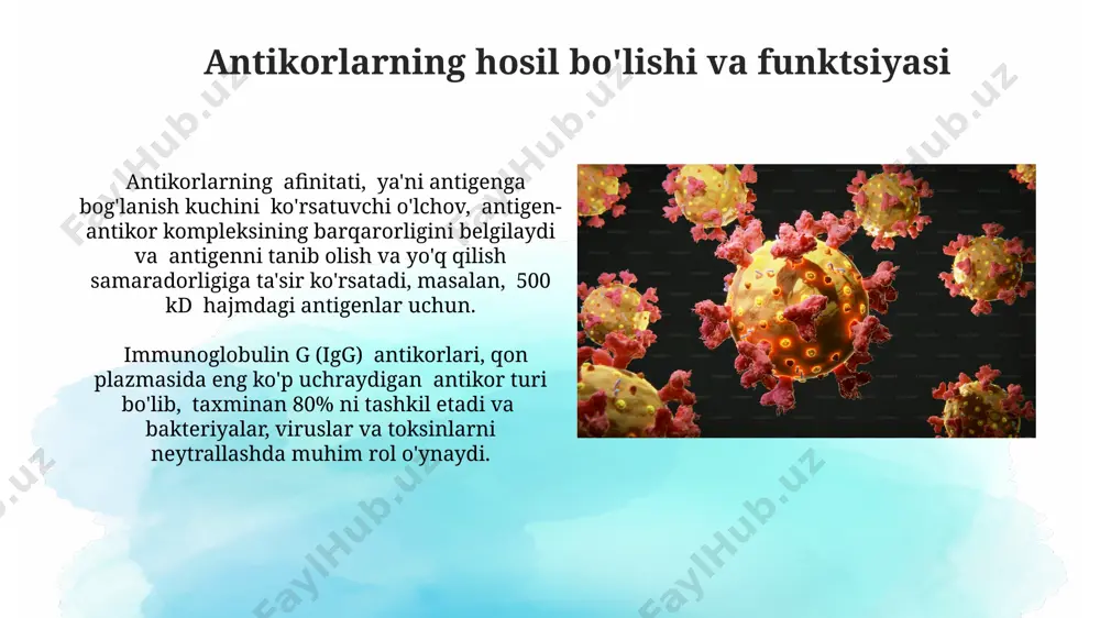 minlaydi. immunitetning genetik asoslari mhc genlari kompleksining 6-xromosomasidagi polimorfizmlari turli xil infektsiyalarga chidamlilik darajasini aniqlaydi. masalan, yaponiyada olib borilgan tadqiqotlar shuni ko'rsatdiki, ma'lum mhc allellariga ega bo'lgan shaxslar 30% yuqori infektsiya xavfiga ega. o'zbekistonda olib borilgan tadqiqotlar shuni ko'rsatdiki, 500 dan ortiq bemorda immunitet tanqisligining genetik sabablari aniqlangan bo'lib, ularning 20%ida scid (og'ir birlamchi immunitet tanqisligi) gen mutatsiyalari kuzatilgan. e'tiboringiz uchun rahmat @taqdimot_robot image2.jpg image3.jpg image4.jpg image5.jpg image6.jpg image7.jpg image8.jpg image9.jpg image10.jpg image11.jpg image12.jpg image13.jpg image14.jpg image15.jpg image16.jpg image17.jpg image18.jpg image1.png