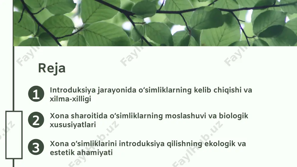 'lib, ularning joylashuvi muhitga moslashuv va ekologik vazifalariga asoslangan. iqlim o'zgarishi bilan o'simliklar turli hududlarda o'zgarib, yangi muhitlarga moslashadi va ekosistemalardagi muhim rol o'ynaydi. 04.26.24 oʻsimliklar va inson hayoti oʻsimliklar inson hayotida muhim rol oʻynaydi: oziq-ovqat, dori va ekologik muvozanat uchun. oʻsimliklardan foydalanish: qishloq xoʻjaligi, tibbiyot va sanoatda, ayniqsa, o'rmonlar karbonat angidridni yutadi. madaniyatda oʻsimliklarning oʻrni: an'analar, urf-odatlar, diniy rituallar va bayramlar bilan bogʻliq holda inson va tabiat oʻrtasidagi bogʻliqlik. 04.26.24 04.26.24 xona oʻsimliklarining moslashuvi oʻsimliklarning xona sharoitida yashashga moslashuvi, ularning oʻsish va rivojlanish jarayonlarini muvofiqlashtirish uchun moslashuv mexanizmlarini oʻz ichiga oladi. masalan, oʻsimliklar fotosintezani samarali qilish uchun yorugʻlikni maksimal qabul qilishga moslashadi. oziqa va suv talablariga moslashuv, xona oʻsimliklari odatda kamroq suv va oziq-ovqat bilan yashashga moslashgan. ular suvni tejash uchun barglarning yoyi yoki ildizlarning kengayishi kabi adaptiv mexanizmlarga ega, shuningdek, oziq-ovqat moddalarini samarali utilizatsiya qilish uchun maxsus xususiyatlarga ega. harorat va yorugʻlik sharoitlariga moslashuv, xona oʻsimliklari harorat oʻzgarishlariga, …