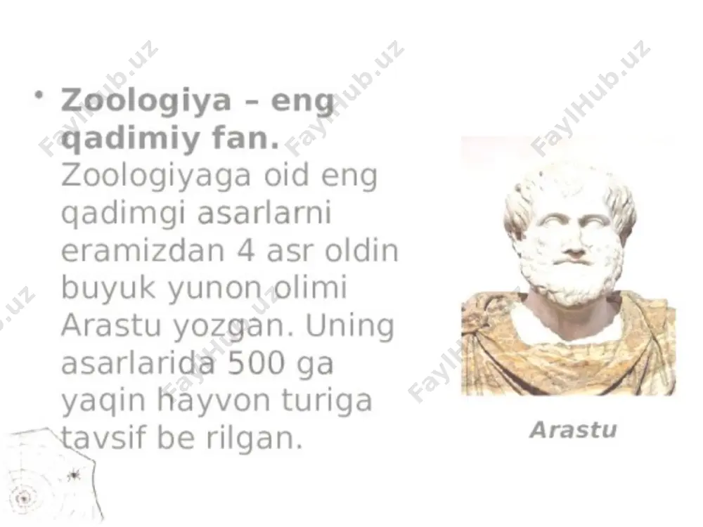 i-bob. hayvonlar to'g'risida umumiy ma'lumot - Page 5