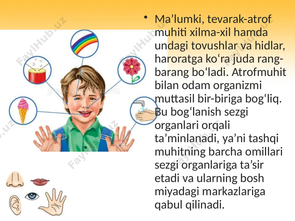 day o‘zgarishi akkomodatsiya deb atalib, u gavhar atrofini o‘rab turgan kipriksimon muskul tolalarining qisqarishi va bo‘shashishi orqali amalga oshadi. demak, akkomodatsiya ko‘zning uzoqni va yaqinni ko‘rish qobiliyatini ta’minlaydi. ko‘z qorachig‘i — ko‘zning rangli pardasi o‘rtasida joylashgan teshikcha bo‘lib, uning atrofi aylana va to‘g‘ri yo‘nalgan muskullar bilan o‘ralgan. qorachiqning ana shu funksiyasi tufayli buyumlarning shakli, rangi, ko‘rinishi va boshqa xususiyatlari ko‘zning to‘rpardasiga aniq o‘tkaziladi. ko‘zning ichki to‘rpardasi joylashgan kolbasimon retseptorlar rang bilish xususiyatiga ega, ular ko‘k, yashil va qizil ranglarni qabul qiladi. ko‘rish o‘tkirligi. ko‘rish o‘tkirligi ikkita buyum bir-biriga qo‘shilib ketmasdan, alohida-alohida ko‘rinishi uchun zarur bo‘lgan ular orasidagi eng kichik masofa bilan belgilanadi. ko‘rish o‘tkirligi normal bo‘lgan odam 60 sekundda burchak hosil qilib joylashgan ikkita nuqtani yaqqol aniqlay oladi. ko‘rish o‘tkirligi maxsus golovin jadvali yordamida aniqlanadi. aniqlash usuli laboratoriya mashg‘ulotida berilgan. ko‘zning ko‘rish maydoni. ko‘zni harakatlantirmay turganda atrofdagi buyumlarni, ularning rangini ko‘ra olish xususiyati. ko‘rish organi funksiyasining buzilishi. yaqindan ko‘rish (miopiya) …