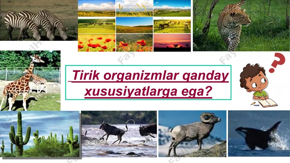 i o‘rganishning asosiga aylangan. mazkur usul yordamida organik dunyoning evolutsion ta’limoti yaratildi. tarixiy usul tajriba usuli biologiyada o‘rta asrlarda (abu ali ibn sino) boshlangan bo‘lsa, fizika va kimyo fanlarining ravnaqi tufayli keng qo‘llanila boshlandi. tajriba eksperimental yoki tajriba usuli bilan organizmlardagi voqea-hodisalar boshqa usullarga nisbatan chuqur o‘rganiladi. tajriba bugungi kunda yuqorida berilgan usullar biologiyaning tegishli sohalarida foydalanib kelinmoqda va ular bir-birini to‘ldiradi. biologiya umumbiologik qonuniyatlardan xalq xo‘jaligining turli tarmoqlarida xilma-xil muammolar yechimini topishda keng foydalaniladi. biologiyaning inson hayotidagi roli biologiyaning inson hayotidagi roli aholi sonini ortishi aholini oziq-ovqat va kiyim-kechakka bo‘lgan ehtiyojini ortishiga sabab bo‘lib boradi. bu borada o‘simliklar, mikroorganizmlar, hayvonlarning yuqori mahsuldor shtammlari, navlari va zotlarini yaratish katta ahamiyat kasb etadi. biologiyaning inson hayotidagi roli inson o‘simliklarning tuzilishi va xususiyatlarini yaxshi bilsa, mo‘l hosil oladi, yaxshi daromadga ega bo‘ladi. chorvachilik chorvachilikda ham hayvonlarni qanday boqishni bilsa, qo‘y va mollardan foyda olishi mumkin. redi tajribasi xvii asrda italiyalik shifokor franchesko …
