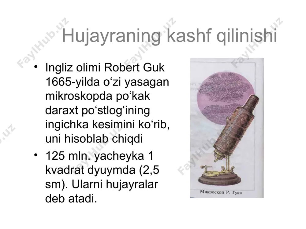 g tuzilishi hujayra qismlari funksiyasi membrana himoya, moddalarning hujayraga kirishi sitoplazma hayotiy jarayonlar kechadigan tuzilma yadro hujayraning bo‘linishi, funksiyalarini boshqarish mitoxondriya клеточное дыхание lizosoma hazm qilish goldji apparati moddalar transporti hujayraning kimyoviy tarkibi(%) suv......................................................................................... 70 noorganik ionlar............................................................ 1 oqsillar....................................................................................... 18 rnk i dnk............................................................................ 1,5 lipidlar.................................................................................. 5 polisaxaridlar.........................................2 hujayra bo’linishi