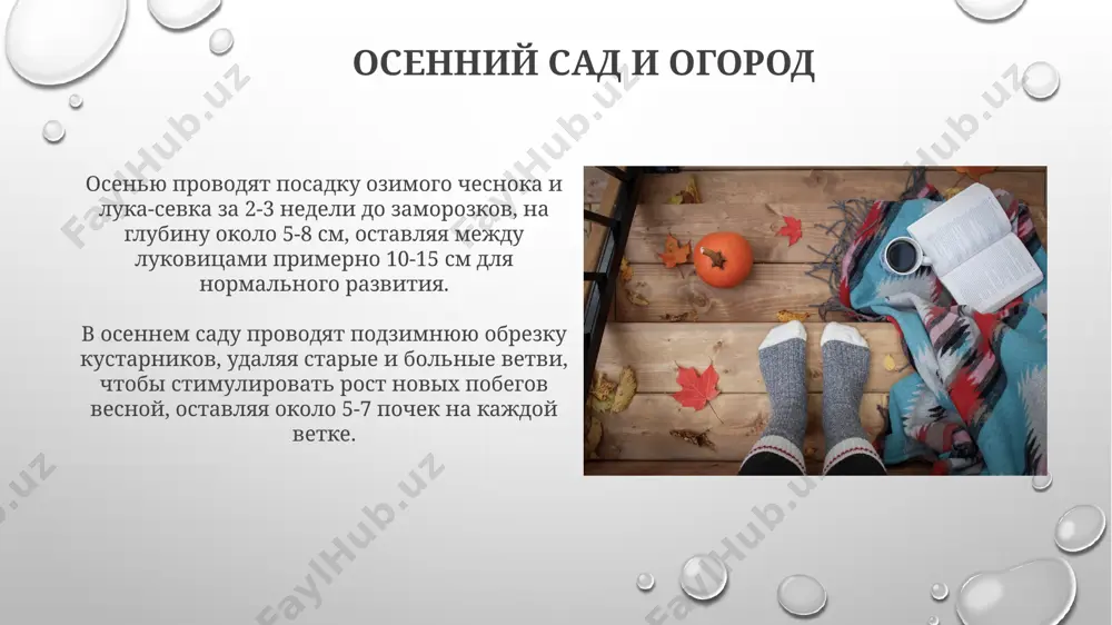осень - Page 5