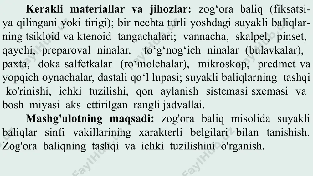 eshigi va uning orqasida siydik teshigi ochiladi. ko'krak juft suzgich qanot­lari, barcha baliqlardagiga o'xshash gavdaning ikki yonida jabra yoriqlari orqasida, qorin juft suzgich qanotlari esa tana bo'limining qorin qismi o'rtasida o'rnashgan. toq suzgich qa­notlar bittadan. ular orqa, dum va orqa chiqaruv (anal) suz­gich qanotlaridan iborat. orqa va anal suzgichlarining oldida tishli bittadan qattiq suyak nurlari boiadi. zog'ora baliqning tanasi sarg'ish tillasimon suyak tangachalar bilan qoplangan. suyak tangachalar cherepitsalar kabi bir-birining ustida to'g'ri qator bo'lib joylashgan. har qaysi tangacha birmuncha yumaloqlangan yupqa plastinkadan iborat bo'lib, oldingi asosiy qismi (qirrasi) teri ichiga kirib turadi, qolgan tashqi cheti esa tekis bo’ladi. bunday tangacha sikloid tangacha deb atala­di. zog'ora baliq tanasining boshidan to dum suzgich qanotigacha to'g'ri yon chizig‘i o'tadi. bu organ tangachalami teshib o‘tgan qator qora teshiklardan hosil bo‘lgan. teshiklarning oxirgi uchi nerv uchlari bilan yon chizig'i joylashgan maxsus kanalga ochiladi. yon chizig'i suv sharoitidagi o'zgarishlarni qabul qiladi. zog'ora baliqning dum suzgichi boshqa …