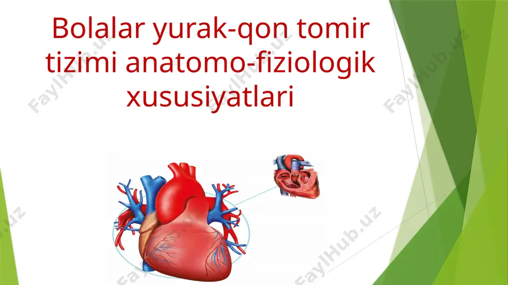zilishiga ega o’smirlarda yurak vertical joylashadi 1,5 yoshgacha bo’lgan davrda yurak choqqi turtkisi iv qovurg’a oralig’ida joylashadi diafragma 2 yoshdan so’ng pastga siljiydi, shuning uchun cho’qqi turtkisi ko’krakning v qovurg’a oralig’i sohasiga o’zgaradi yurak taraqqiyoti yangi tug’ilgan chaqaloq yuragi chap qorinchasi devorining qalinligi 0.5 mm bo’ladi u hayot davomida 17 marta oshadi. yangi tug’ilgan chaqaloq yuragi o’ng qorinchasining ham devoir qalinligi 0.5 mm yurak o’ng qorinchasi devorining qalinligi hayot davomida 10 marta oshadi. yurakning anatomo-fiologik xususiyatlari xomilada qon aylanish xomilada qon aylanishdagi moslanishlar 1. kindik venasi 2.venoz yo’l 3.ovalsimon teshik 4.arterial yo’l 5.kindik arteriyasi “neanatal aloqalarining yopilish vaqti” arterial kanal (botallo yo’li) hayotning 6-7 haftasida yopiladi venoz kanal (arantiy yo’li) tug’ilgandan 2-3 oydan so’ng yopiladi homiladagi oval teshik tug’ilgandan 5-7 oydan so’ng yopiladi yangi tug’ilgan chaqaloqda qon aylanish qon tomirlarning xususiyatlari bola ulg’aygan sari o’pka arteriyasi va aortaning diametri qarama-qarshi tomonga o’zgaradi. yangi tug’ilgan chaqaloqda o’pka arteriyasi diametri-21mm aorta diametri-16mm …