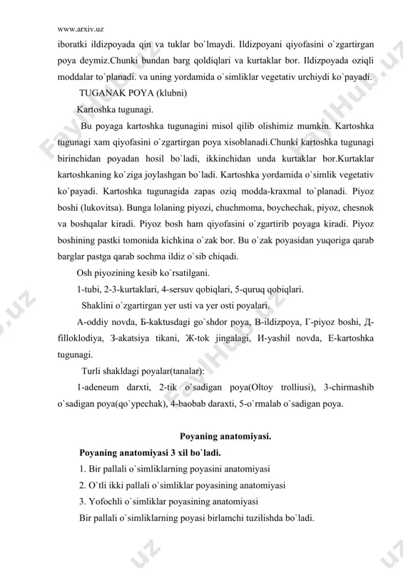poyalar(tanalar): 1-adeneum darxti, 2-tik o`sadigan poya(oltoy trolliusi), 3-chirmashib o`sadigan poya(qo`ypechak), 4-baobab daraxti, 5-o`rmalab o`sadigan poya. poyaning anatomiyasi. poyaning anatomiyasi 3 xil bo`ladi. 1. bir pallali o`simliklarning poyasini anatomiyasi 2. o`tli ikki pallali o`simliklar poyasining anatomiyasi 3. yofochli o`simliklar poyasining anatomiyasi bir pallali o`simliklarning poyasi birlamchi tuzilishda bo`ladi. poya tashqi tomondan epidermis bilan qoplangan. epidermis faqat 1 (qavat) qator xujayralardan iborat. epidermisda ustitsalar bor. ustitsalar bargdagiga qaraganda kamroq uchraydi. epidermisdan xar xil tuklar bir hujayrali tuklar, ko`p hujayrali tuklar, bezli tuklar va boshqalar o`sib chiqadi. poya ko`ndalang qismida epidermisning ichkarisi (tagi) da birlamchi po`stloqning tirik parenximalari joylashgan. ba`zan epidermis tagida mexanik to`qima-sklerenxima joylashadi .mas: jo`xori poyasida. skleren-xima ma`lum joyda yoki doira bo`yicha bir necha qator joylashgan bo`ladi. po`stloqning tirik hujayralarida xlorofil donachalari bo`lib, u yerda fotosintez protsessi bo`lib turadi. fotosintez protsessida organik moddalar tayyorlanadi. po`stloqning ichki qavatini endoderma deb ataladi. ba`zan endoderma o`rnida kraxmalga boy bo`lgan xujayralar uchraydi. poyaning markaziy silindr …