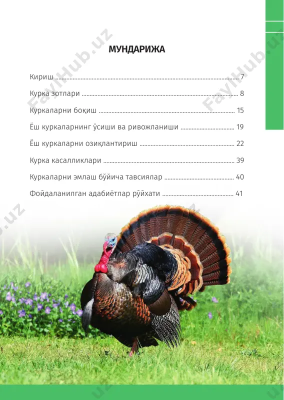 “шимолий кавказ” курка зоти йилига 75-90 дона тухум беради, айрим турлари бундан ҳам кўп тухум беради. 10 100 китоб тўплами “оқ шимолий кавказ” курка зоти 1964 йили ставрополь ўлкасида маҳаллий бронза ранг курка зотини кенг кўкракли оқ ранг куркаси билан чатиштириш орқали яратилган. патлари оқ ранг, эркак куркаларнинг тирик вазни 12-14 кг, урғочи куркаларники 6,5-7 кг ни ташкил этади, йилига ўртача 75-90 дона тухум беради, бир дона тухумининг оғирлиги 80-85 г атрофида бўлади. “қора тихорец” курка зоти 11 куркачилик83–китоб краснодар ўлкаси тихорец туманида маҳаллий қора зотли куркаларнинг наслини яхшилаш орқали яратилган, қора бронза ранги жилваланади. эркак куркаларнинг тирик вазни 9,5-10 кг, урғочиси 4,5-5 кг ни ташкил этади. гўштга боқилган куркаларнинг тирик вазни 17 ҳафталикда 3,2-4,4 кг ни ташкил этади, йилига ўртача 80-100 дона тухум беради, бир дона тухумининг оғирлиги 80-85 г ни ташкил этади. “оқ москва” курка зоти москва вилоятидаги “березки” хўжалигида яратилган. тирик вазни “москва бронза ранги” зотидан енгил, …