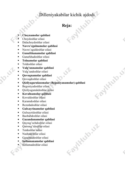 dilleniyakabilar kichik ajdodi — DOCX