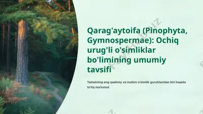 qarag‘aytoifa (ochiq urug‘li ) pinophyta gymnospermae o‘simliklar bo‘limining umumiy tavsifi — PPTX