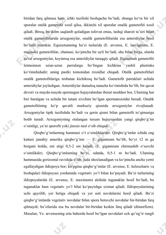 i. arxegoniylar tipik tuzilishda bo‘ladi va qorin qismi bilan gametofit to‘qimasiga botib turadi. arxegoniyning otalangan tuxum hujayrasidan yangi qirqbo‘g‘im o‘simligi, ya’ni sporofit yoki jinssiz nasl o‘sib chiqadi. qirqbo‘g‘imlarning hammasi o‘t o‘simliklaridir. qirqbo‘g‘imlar ichida eng kattasi janubiy amerika qirqbo‘g‘imi — e. giganteum bo‘lib, bo‘yi 12 m ga borgani holda, eni atigi 0,5-2 sm keladi. (e. giganteum chirmashib o‘suvchi o‘simlikdir). qirqbo‘g‘imlarning bo‘yi, odatda, 0,5-1 m bo‘ladi. ularning hammasida gorizontal ravishda o‘sib, juda shoxlanadigan va ko‘pincha ancha yerni egallaydigan ildizpoya bor; ko‘pgina qirqbo‘g‘imlar (e. arvense, e. heleocharis va boshqalar) ildizpoyasi yordamida vegetativ yo‘l bilan ko‘payadi. ba’zi turlarining ildizpoyalarida (e. arvense, e. maximum) alohida tuganaklar hosil bo‘ladi, bu tuganaklar ham vegetativ yo‘l bilai ko‘payishga xizmat qiladi. ildizpoyalarining uchi qayrilib, yer betiga chiqadi va yer usti novdalarini hosil qiladi. ba’zi qirqbo‘g‘imlarda vegetativ novdalar bilan spora beruvchi novdalar bir-biridan farq qilmaydi; ba’zilarida esa bu novdalar bir-biridan keskin farq qiladi (dimorfizm). masalan, ye. arvensening erta bahorda hosil …