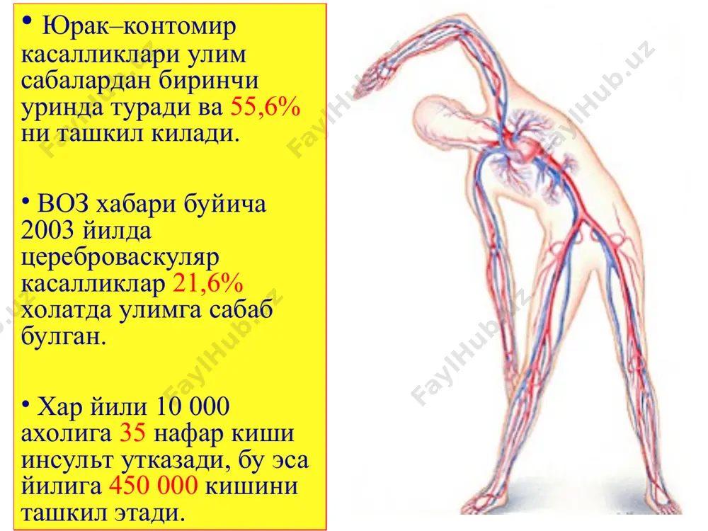 кичик стеноз (0-29%); - ўрта стеноз (30-50%); - кучли стеноз (50-69%); - критик стеноз (70-99%); - окклюзия (100%). nascet и ecst таснифи, (1991 йил) атеросклеротик пилакча хосил бўлиш боскичлари: артерия деворида липидларни йигилиши пилакчани ичига кон куйилиши ўзгармаган артерияни кўриниши микроэмболия аорта равоги брахиоцефал томирларнинг зараланиши 50% холларда белгисиз кечади. касалликни асимптом кечишида беморлар деярли шикоятлар килмайди, инструментал текширувда бца шикастланиши аникланади транзитор ишемик атакада кузатилади: бош огриши, бош айланиши кўл ва юзниниг айрим жойларида сезгини бузилиши белгилари, афазия. харакат вазифасининг бузилиши (хар хил даражали моно-гемипарез, моно-гемиплегия). кўришни бузилиши (амавроз фугас - кўз олдида пардани хосил бўлиши, хар хил фотопсия, бир ёки иккала кўзнинг куриш хусусиятини вактинчалик йўколиши). бу белгилар бир неча минутдан 24 соатгача кузатилиши мумкин. дисциркулятор энцефалопатия бош огриши (кўпрок жарохат сохасида). холсизлик ишчанлик хусусиятни ва хотирани пасайиши интеллектни пасайиши, профессионал кобилиятларни йукотиш ишемик инсультда кузатиладиган белгилар: харакатлантирувчи вазифаларни бузилиши (геми- ва монопарезлар, паралич, мотор афазии). тананинг ярмидан …