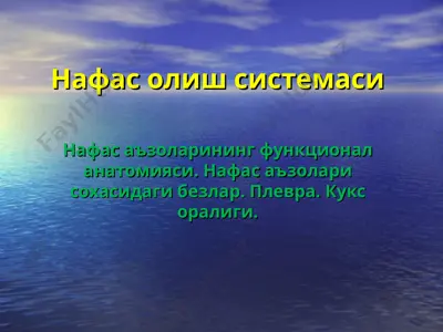 naqas olish sistemasi — PPT