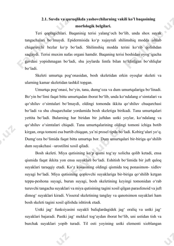 osil qiladi. erkin oyoqlilar skeleti quruqlikda yashovshi umurtqali hayvonlarning oyoq skeletiga o‘xshash tuzilgan. oyok skeleti 3 bo‘limdan iborat: 1. oldingi oyog‘ida yelka, keyingi oyog‘ida son, bu bo‘lim har doim bittadan yelka va son suyaklaridan iborat. 2. oldingi oyog‘ida yelka oldi, keyingi oyog‘ida boldir, yelka oldi bo‘limi tirsak va bilak suyaklaridan, boldir bo‘limi katta va kichik boldir suyaklardan tashkil topgan. baqalarda bu suyaklar bir- biridan ajralmagan. 3. oldingi oyoqda kaft, keyingi oyoqda tovon bo‘limlari bor. kaft bo‘limi bilago‘zuk, kaft va barmoq falangalaridan, tovon esa tovon-oldi tovon va barmoq falangalaridan tuzilgan. baqalarda bilago‘zuk va tovonoldi suyaklarining ko‘p qismi o‘zaro qo‘shilib ketadi. yelka kamari yoy shaklida, uchi qorinli tomonga qaratilgan. yoyning har qaysi tomoni kurak usti tog‘ayi, kurak suyagi korakoid va uning oldida joylashgan prokarokoid suyaklaridan tashkil topgan. yoyning o‘rtasida tush suyagi, tush oldi suyagi bo‘lib, bularning uchlari tog‘ay xolicha qoladi. tush oldi va kurak o‘rtasida ingichka umrov suyagi bor. chanoq kamari juft …