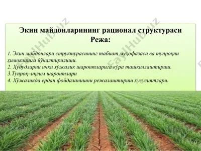 экин майдонларининг рационал структураси — PPTX