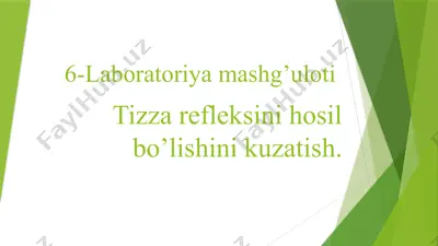 laboratoriya mashg’uloti — PPTX