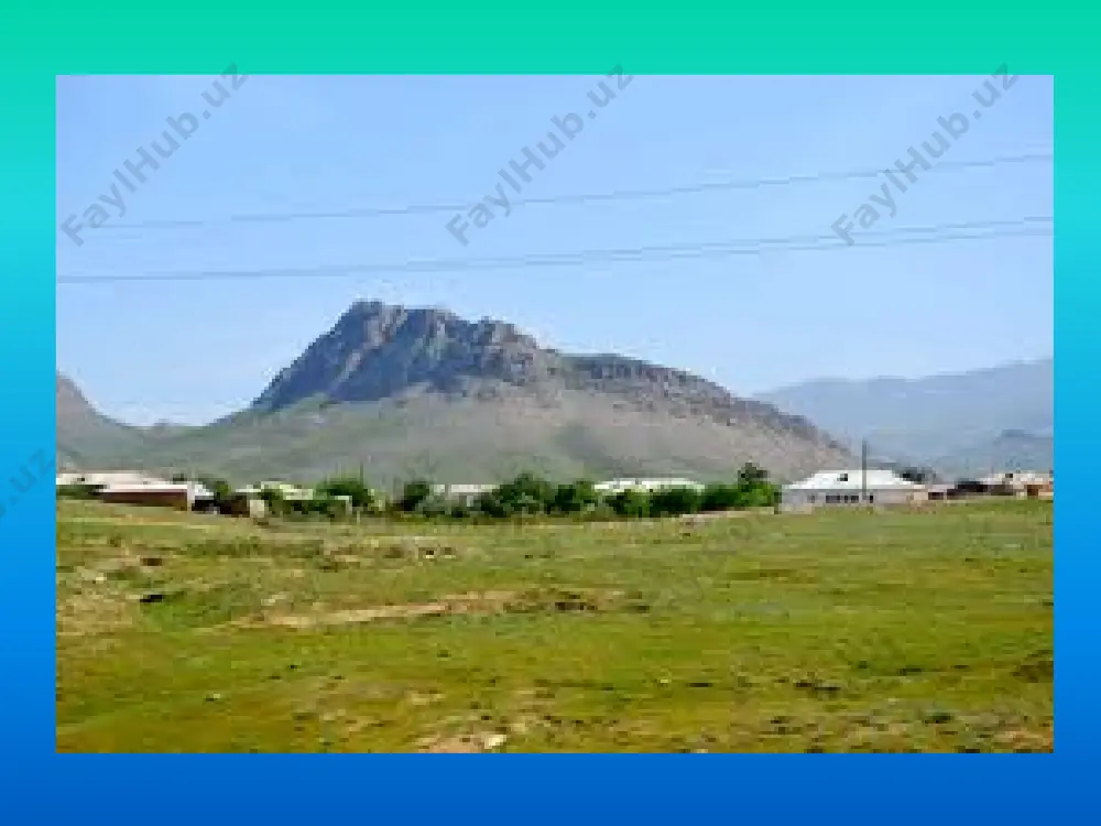 jizzakh province - Page 5