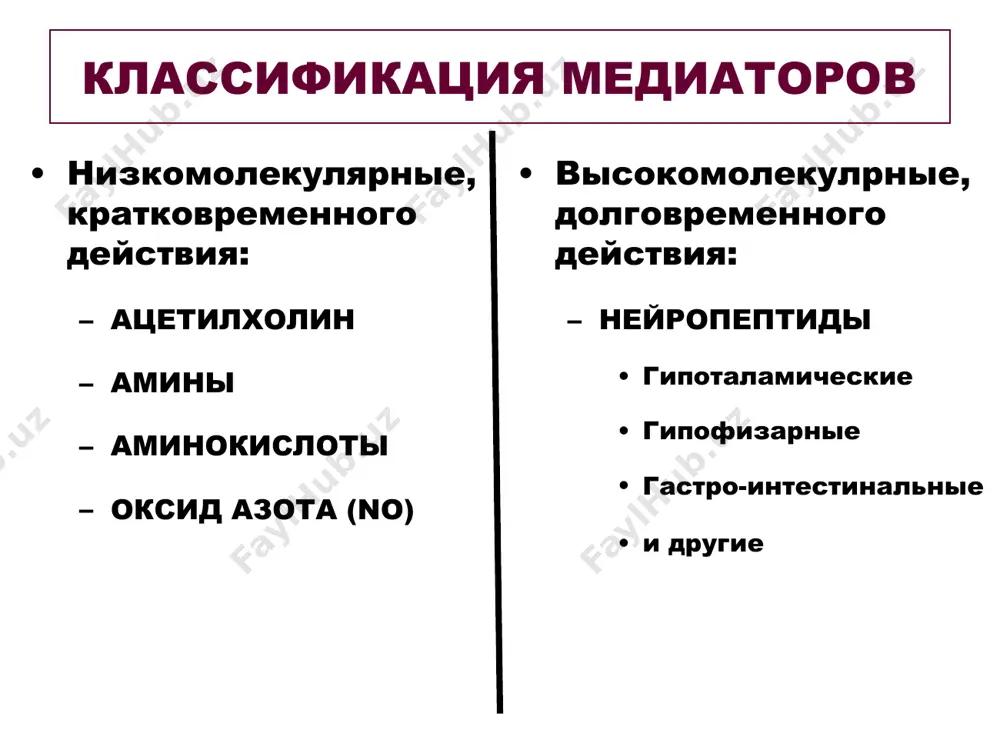язей между нейронами (как в цнс, так и в пери- ферических ганглиях). свойства нервных центров суммация возбуждения (временная и пространственная) инерционность последействие пластичность фоновая активность, тонус высокая утомляемость высокая чувствительность к гипоксии высокая чувствительность к действию ядов, метаболитов, блокаторов трансформация ритма возбуждения элементарные нейронные контуры дивергенция дивергенция приводит к распространению (иррадиации) возбуждения по всем отделам цнс конвергенция конвергенция лежит в основе простран- ственной суммации возбуждения, ведёт к трансформации ритма возбуждения кольцевые нейронные цепи благодаря циркуляции возбуждения по замкнутым нейронным цепям, происходит усиление импульсации. возбуждение нейронов продолжается долго. возвратное постсинаптическое торможение в замкнутой цепи нейронов с возвратным постсинаптическим торможением не только снижается возбудимость нейрона на входе, но и меняется характер импульсации на выходе (происходит трансформация ритма возбуждения) суммация впсп и тпсп при возвратном постсинаптическом торможении нейрона впсп тпсп результат суммации импульсация в нервном волокне (аксон) возвратное пресинаптическое торможение с помощью возвратного пресинаптического торможения происходит ограничение потока импульсов, поступающих к нервному центру …