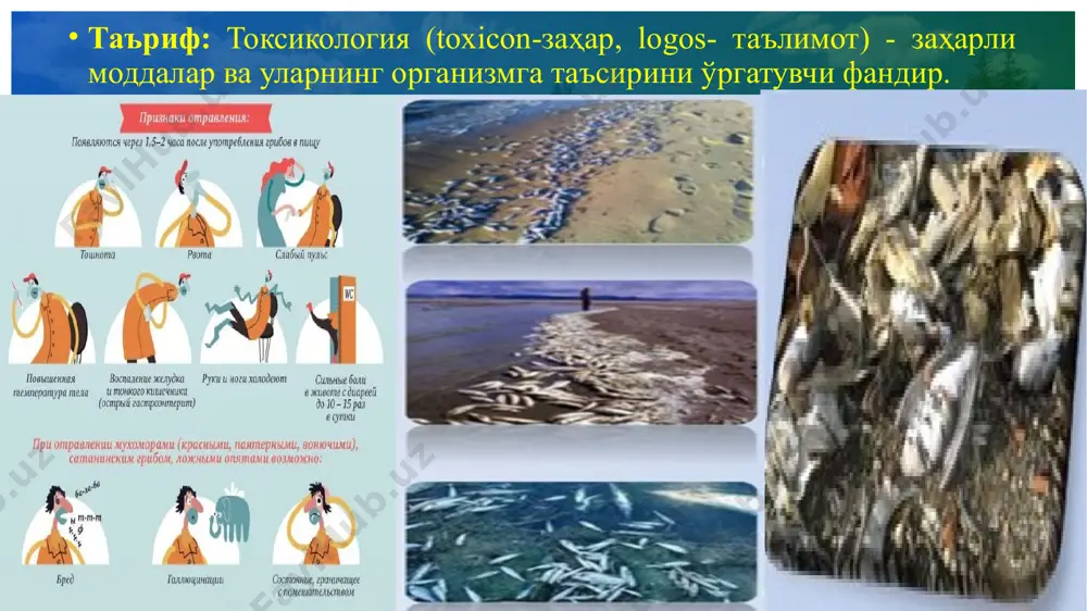 фақат ўсимлик битларига, карбин фақат курмакларга айримлари эса, кенг қамровли бўлади. (фозалон, ҳашарот ва каналарга, нитрафен, днок ҳашарот, замбуруғ, каналарга ва ҳоказо). шундай қилиб пестицидларни танлаб, ўрнига қўйиб қўллаганда турлараро чидамлиликка барҳам берилади. ҳашаротлар мисолида кўрадиган бўлсак, пестицидларга урғочи жинсдагилари эркакларидан чидамлироқ бўлади, худди шу ҳодисани ҳайвонларда ҳам кузатиш мумкин. бундай жинсий чидамлилик пестицидларнинг қўллаш дозаларини топиш йули билан йуқотилади. ҳашаротларнинг қуртлари, катта ёшдаги даврлари, замбуруғларнинг конидияларининг униб чикаётган, ўсимликларнинг кўкариб чиққан даврлари пестицидлар таъсирига чидамсиз бўлади. ҳашаротларнинг тухумлари (тухумлик даври), ғумбаклик даври, диапауза ҳолатлари, замбуруғларнинг, бактерияларнинг қишловчи споралари, ўсимликларнинг уруғлик даврлари ўта чидамли ҳисобланади. бундан ташқари чидамлилик ҳашаротларнинг ривожланиш даврларига қараб ҳам ўзгаради. масалан қуртлар биринчи иккинчи ёшларда пестицидлар таъсирига чидамсизроқ бўлса, пўст ташлашдан олдин анча чидамлилиги ошади ёки ўсимлик кемирувчи ҳайвонларни олсак, уларда ҳам худди шу ҳолатни кузатиш мумкин. даврий чидамлиликка яна бир мисол. ҳашаротлар агарда катта ёшдаги ҳолатида ёки личинкалари қишлаб қолса, даврий чидамлилик кучлироқ бўлади чунки …