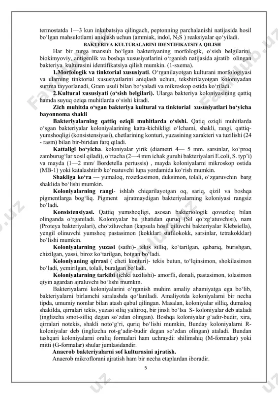 ial 20—22°s bir necha kun davomida termostatda saqlanadi. agar proteolitik ferment bo‘lsa, bakteriyalar jelatinni suyuqlashtiradi va shu yerda voronkaga (vabo vibrioni) yoki to‘ntarilgan archaga o‘xshash (kuydirgi qo‘zg‘atuvchisi) yuqoridan pastga qarab qavvatma –qavvat (ko‘k yashil yiring xosil qiluvchi tayoqcha) yemiradi.gpb yoki peptonli suvga ekilgan bakteriyalar 37°s li termostatda 1—3 kun inkubatsiya qilingach, peptonning parchalanishi natijasida hosil bo‘lgan mahsulotlarni aniqlash uchun (ammiak, indol, n2s ) reaksiyalar qo‘yiladi. bakteriya kulturalarini identifikatsiya qilish har bir turga mansub bo‘lgan bakteriyaning morfologik, o‘sish belgilarini, biokimyoviy, antigenlik va boshqa xususiyatlarini o‘rganish natijasida ajratib olingan bakteriya kulturasini identifikatsiya qilish mumkin. (1-sxema). 1.morfologik va tinktorial xususiyati. o‘rganilayotgan kulturani morfologiyasi va ularning tinktorial xususiyatlarini aniqlash uchun, tekshirilayotgan koloniyadan surtma tayyorlanadi, gram usuli bilan bo‘yaladi va mikroskop ostida ko‘riladi. 2.kultural xususiyati (o‘sish belgilari). ularga bakteriya koloniyasining qattiq hamda suyuq oziqa muhitlarda o‘sishi kiradi. zich muhitda o‘sgan bakteriya kultural va tinktorial xususiyatlari bo‘yicha bayonnoma shakli bakteriyalarning qattiq oziqli muhitlarda o‘sishi. qatiq oziqli …