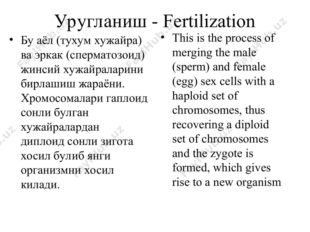 ients through the "placenta". platsenta funktsiyalari - the functions of the placenta gazalmashuvi oziklantirish va ajratish gormonal funktsiyasi (xorionik gonadotropin, platsentar laktogen, prolaktin, progesteron, estrogeni, testosteron i dr.). ximoyaluvchi gas exchange. trophic and excretory. hormone (human chorionic gonadotropin, placental lactogen, prolactin, progesterone, estrogen, testosterone, etc.). safety kritik davrlar - critical periods salbiy ta'sirlarga murtak sezgirligi implantatsiya paytida (birinchi kritik davri) – embriogenezni 7—8-chi kunlari, va platsentatsiya vaktida (ikkinchi kritik davri) – embriogenezni 3-8 kunlarida eng kuchli buladi va bu organogenez bilan bir vaktda buladi. the highest sensitivity to damaging agents have during implantation embryos (the first critical period) - 7-8th days of embryogenesis and during placentation (second critical period) - 3-8 weeks embryogenesis and coincides with organogenesis xomiladorlikni ilk davrida diagnostikasi - diagnosis of early pregnancy gumon belgilari: ishtaxa buzilishi kungil aynish, kusish asabiylashish giperpigmentatsiya. doubtful signs: violation of appetite nausea, vomiting, irritability. hyperpigmentation. ixtimoliy belgilar – possible signs xayz …