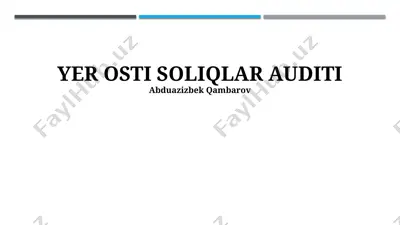 yer osti soliqlar auditi — PPTX