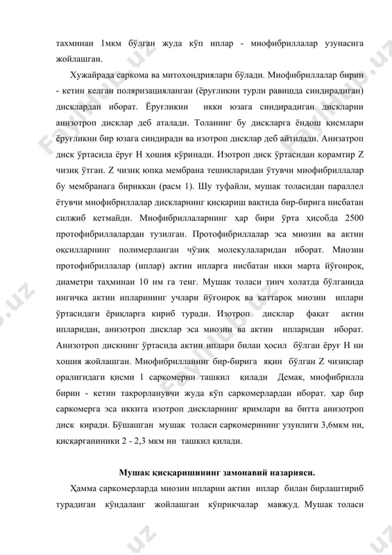 ди. актин иплар миозин иплар оралиғига кўндаланг кўприкчаларнинг ҳаракатлари туфайли сирғаниб киради. миозин иплар шохланиб, ҳар қайсиси таҳминан 150 миозин молекуласидан ташкил топган бошчаларни ҳосил қилади. бу бошчалар миозин ипнинг ўсиб чиққан қисми бўлиб, уни қисқариш вақтида атрофдаги актин иплар билан боғлаб туради. кўндаланг кўприкчаларнинг бошчалари эшкаксимон ҳаракат қилиб, актин ипларини миозин иплар оралиғига силжитади. кўприкчалар ҳаракатларининг амплитудаси 20нм дан, частотаси 5 - 50 тебранишдан иборат. ҳар қайси кўприкча гоҳ актин ипига уланиб, уни тортади, гоҳ ундан узилади, бирикиш имкониятини туғдирадиган шароитни "кутиб" туради. кўприкчалар асинхрон равишда ҳаракатлансада, улар жуда кўп бўлганидан вужудга келадиган тортиш кучи қисқариш давомида бир меъёрда сақланади. тинч ҳолатда кўприкча энергияга бойиди, лекин актин ипи билан бирика олмайди, улар ўртасида жойлашган тропонин глобуласи (заррачаси) билан бириккан тропо-миозин ипи бунга ҳалақит беради. мушак фаоллашганда унинг миоплазмасида эркин кальций ионлари пайдо бўлади. бу ионларга жуда ҳам талабгор бўлган тропонин кальций билан бирикиб, ўз шаклини (конформациясини) ўзгартиради ва тропомиозин …