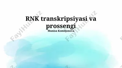 rnk transkripsiyasi va prossessingi — PPTX