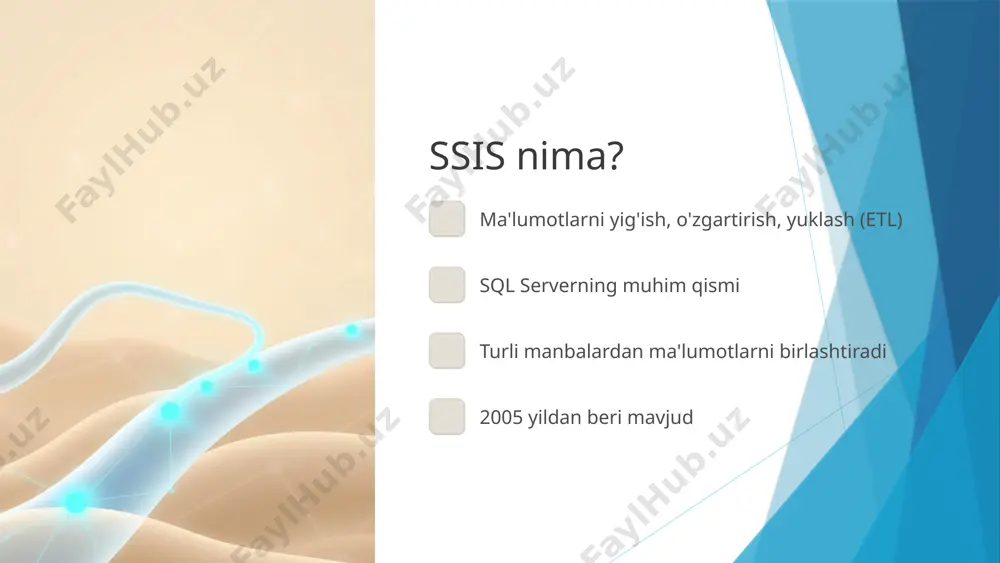 sql server integration services (ssis) - Page 4