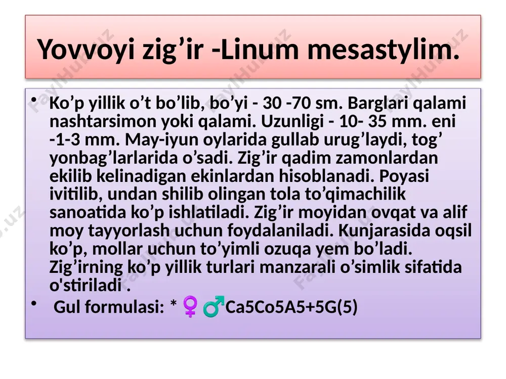 asiz, barg bandi kengayib nov hosil qiladi, hamda poyani o’rab turadi. to’pguli oddiy yoki murakkab soyabon, ba’zan boshcha (ko’ktikan turlarida). ikki jinsli, aktinomorf, gulqo’rg’oni ikki doira hosil 263 qilib o’rnashgan. gul qismlari 5 a’zoli. kosacha va gultojbarglari 5 tadan, changchisi ham 5 ta, urug’chisi 2 ta mevacha bargdan iborat. oila vakillari efir moylariga boy hisoblanadi. bu oilaga zira (bunium), qora zira (carum carvi), kashnich (coriandrum sativum), sabzi (daucus), ukrop (anethum), petrushka (petroselium sativum), kovrak (ferula), arpabodiyon (pimpinella anisum) kiradi. turkum vakillari alkaloid, smola, asalli, sabzavot ekinlari, efir moyli o’simliklar sifatida ahamiyatga egadir. gul formulasi: *♀♂са5со5а5g(2). yovvoyi sabzi - daucus carota . bo’yi 30 - 100 sm keladigan 2 yillik o’t o’simligi bo’lib, ildlzi - ildizmeva. poyasi 2 yilda rivojlanadi, pastki qismi shoxlangan bo’ladi. barglari poyada navbatlashib joyiashadi, barglari ikki karra patsimon qirqilgan. to’pguli murakkab soyabon, gullari oq-sarg’ish. gul a'zolari oilaning umumiy tavsifida keltirilgan kabi bo’ladi. mevasi dumaloq, ikki tomondan biroz …