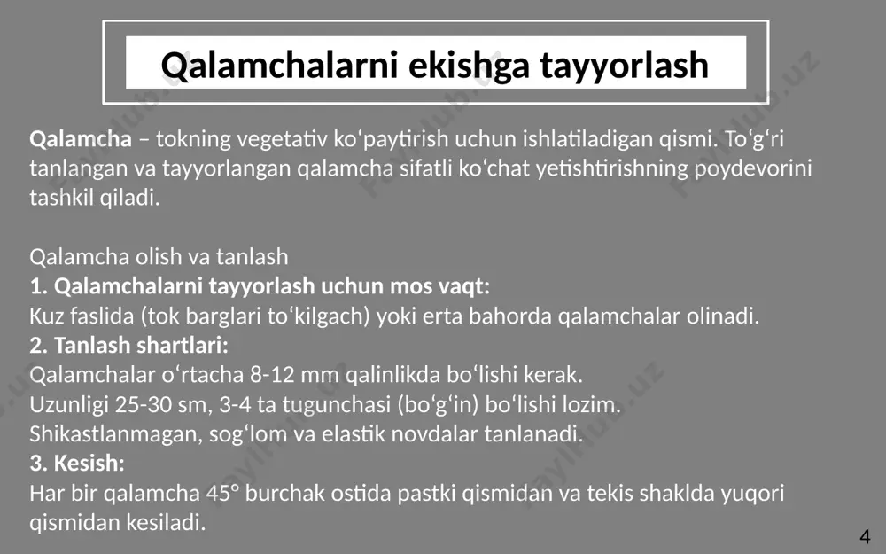 tok ko‘chatlarini yetishtirish - Page 4